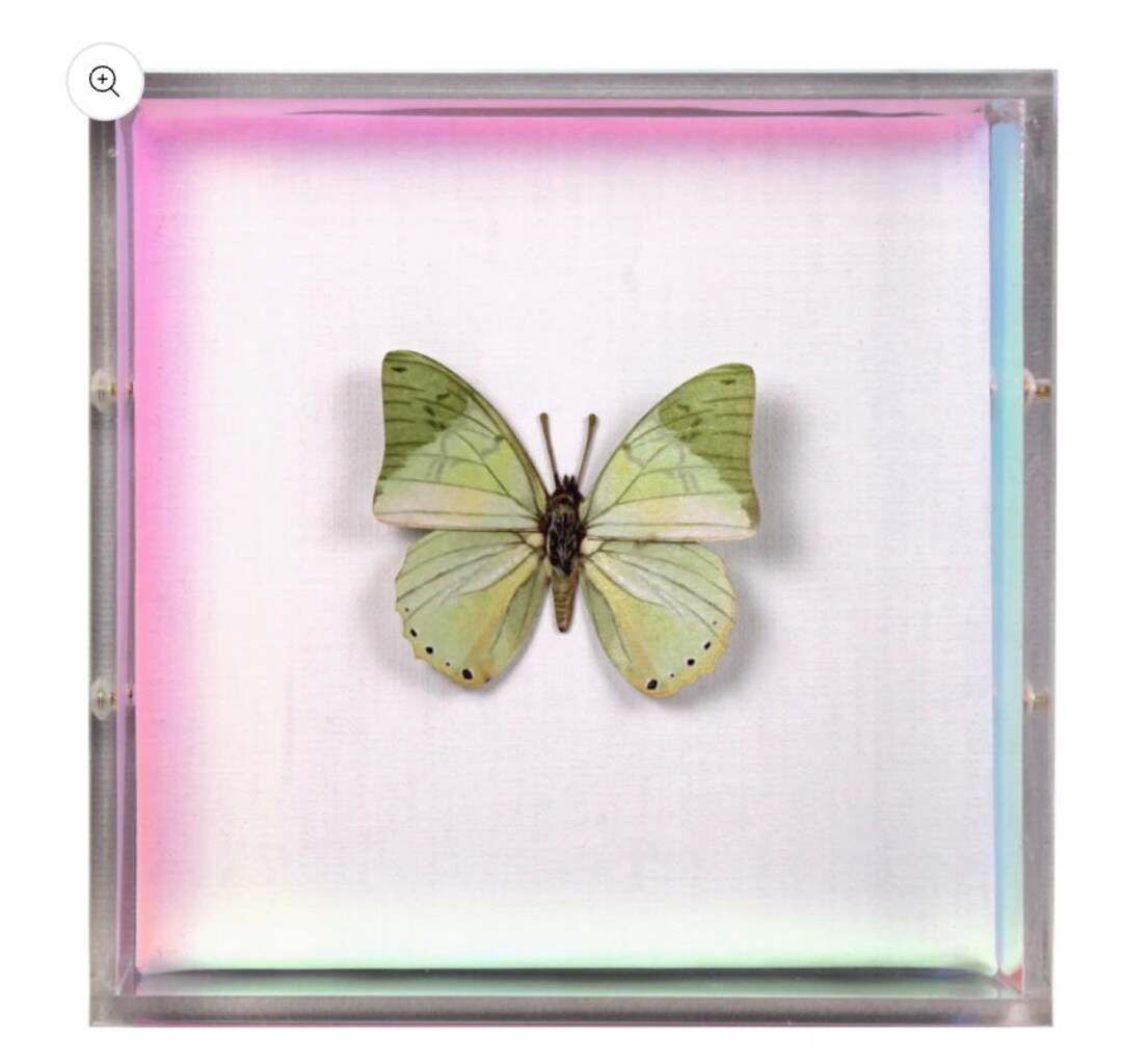 Verte Wings - Etsy | Etsy (US)