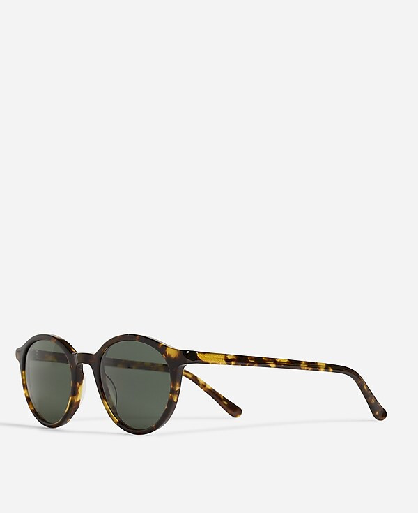 Layton Sunglasses | Madewell