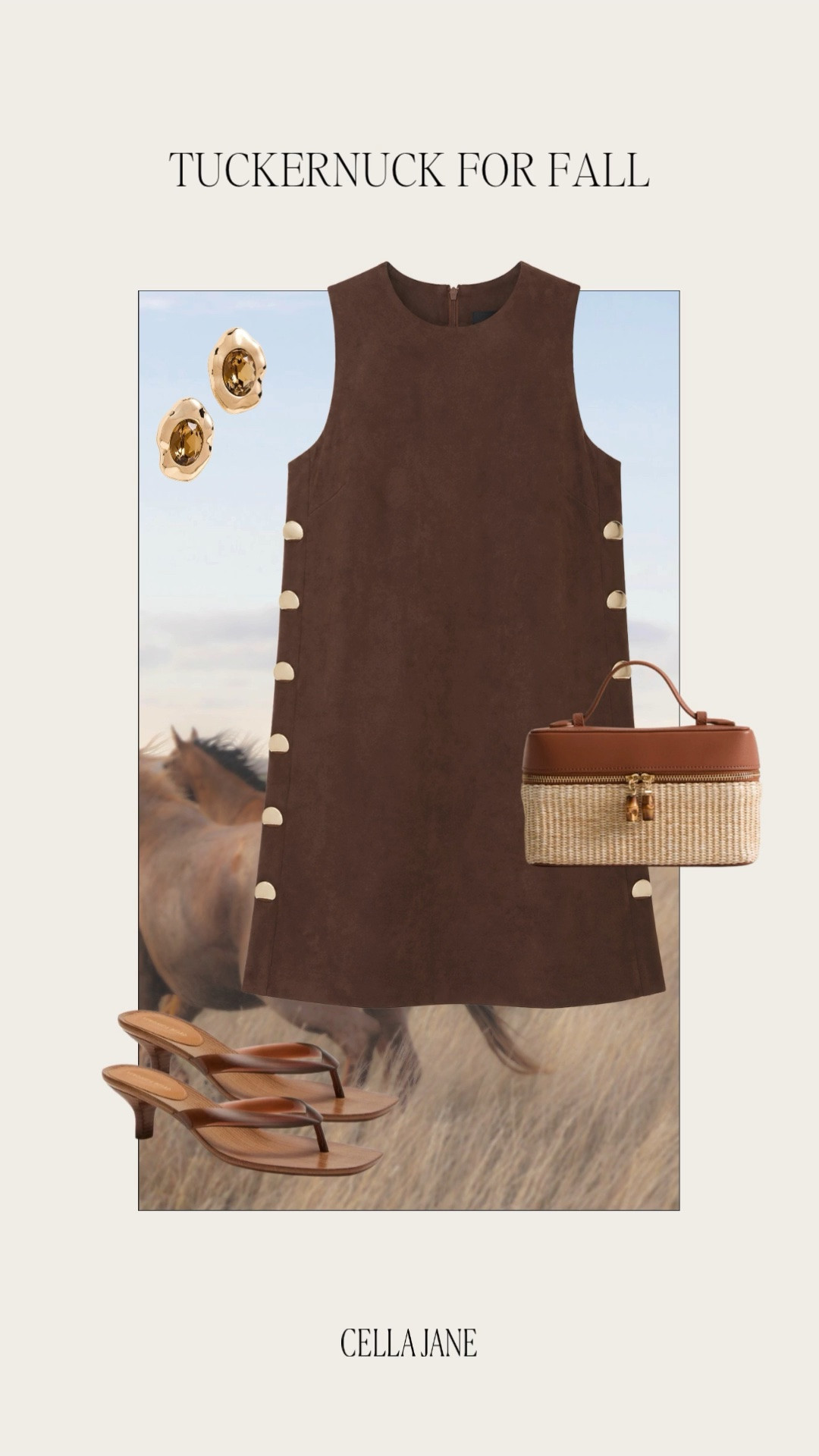 What I ordered from Tuckernuck! @Tuckernuck   #tnuckpartner

#LTKfall #LTKdresses
