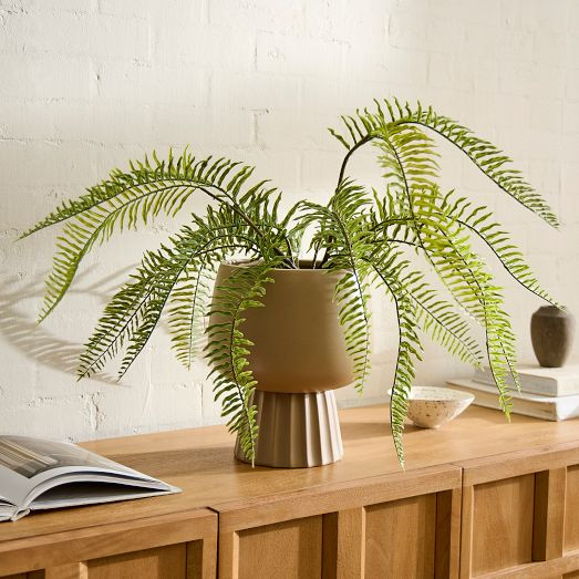 Faux Potted Long Drippy Plant | West Elm (US)