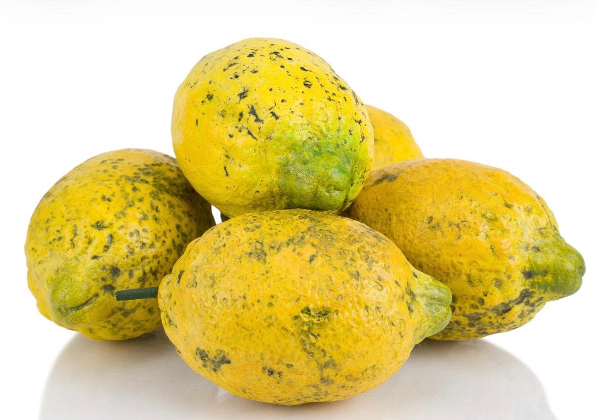 ceramic lemon- fake food plate wall