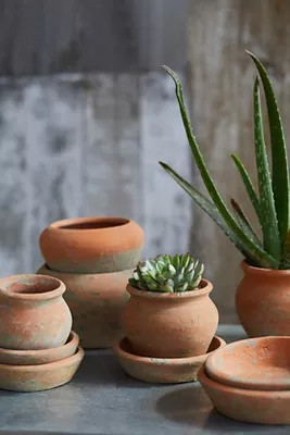 Earth Fired Clay Natural Curve Pots + Saucers, Set of 3 Sizes | Terrain