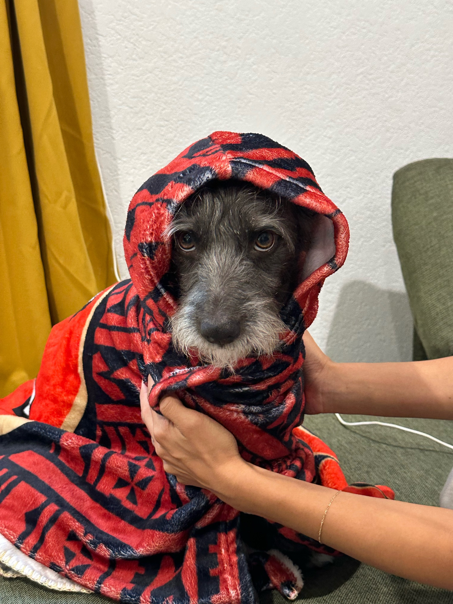 Mine or Max’s 49ers blanket?

#LTKHoliday #LTKSeasonal #LTKGiftGuide