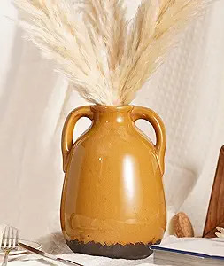Ceramic Vase with Handles, 7.3" Height Rustic Farmhouse Glazed Pottery for Flowers, Boho Decorati... | Amazon (US)