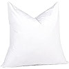 Euro Pillow Inserts 26 x 26 (Pack of 2, White), Down Feather Pillow Stuffer, Premium White Pillow... | Amazon (US)
