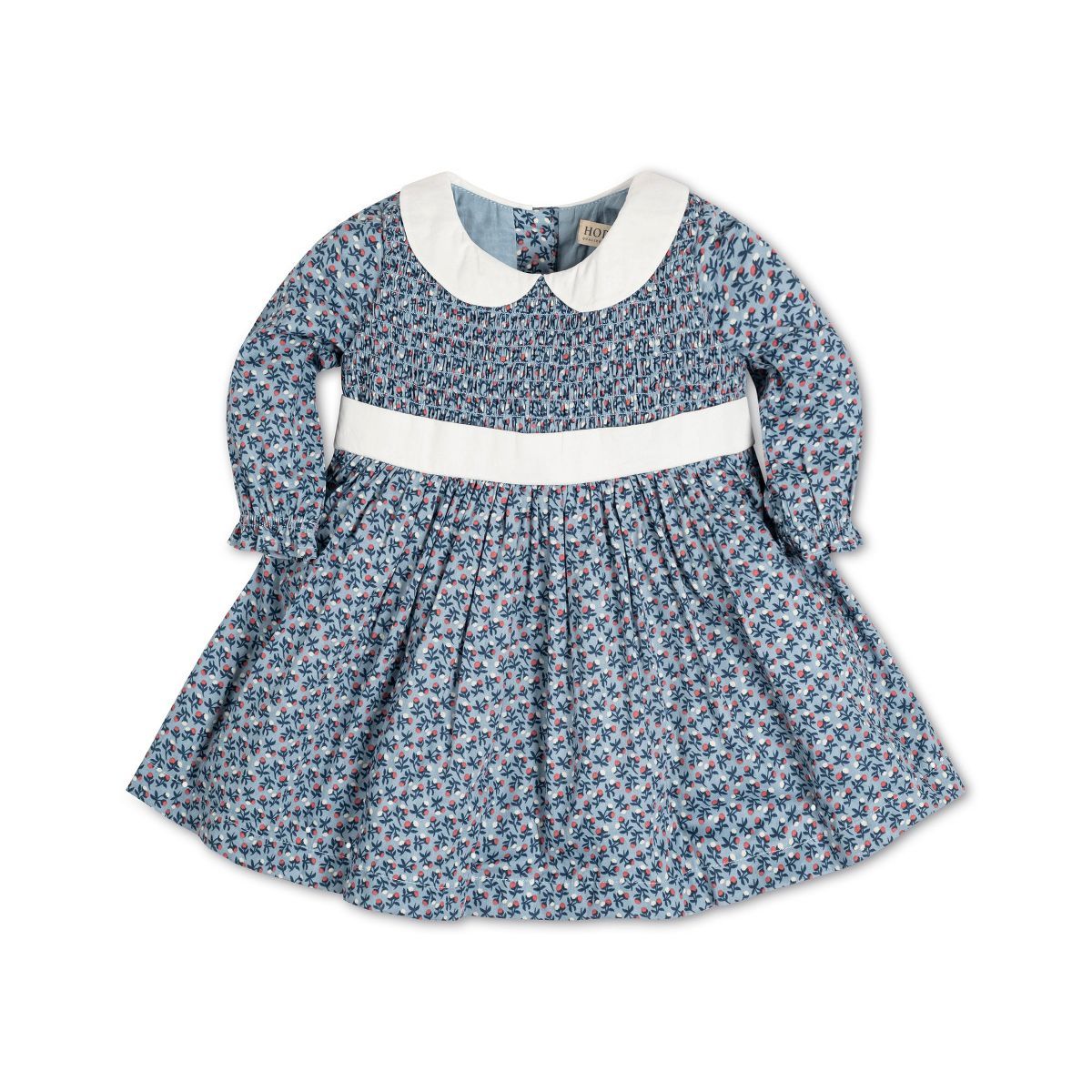 Hope & Henry Baby Girl Layette Long Sleeve Smocked Peter Pan Collar Dress, Infant, 6-12 Months | Target