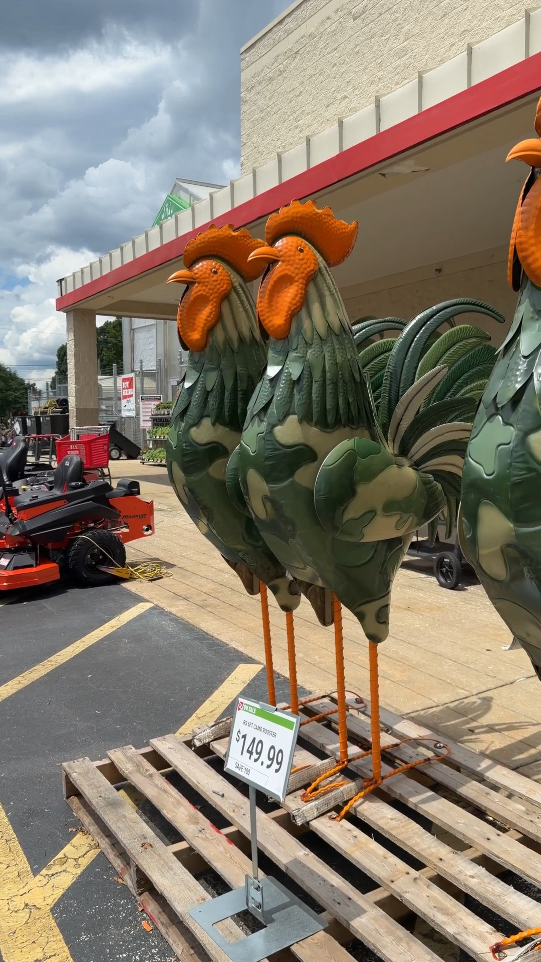 6ft metal roosters! 🐓

#LTKHome #LTKSeasonal