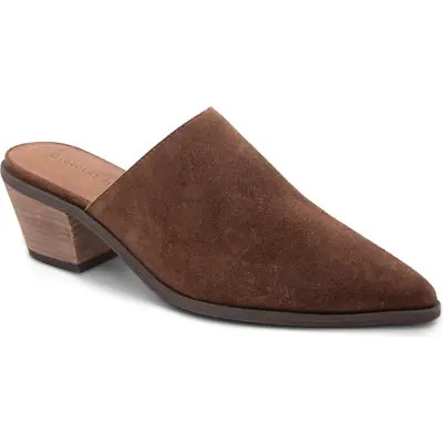 Chocolat Blu Cellia Pointed Toe Mule in Taupe Suede at Nordstrom, Size 8 | Nordstrom