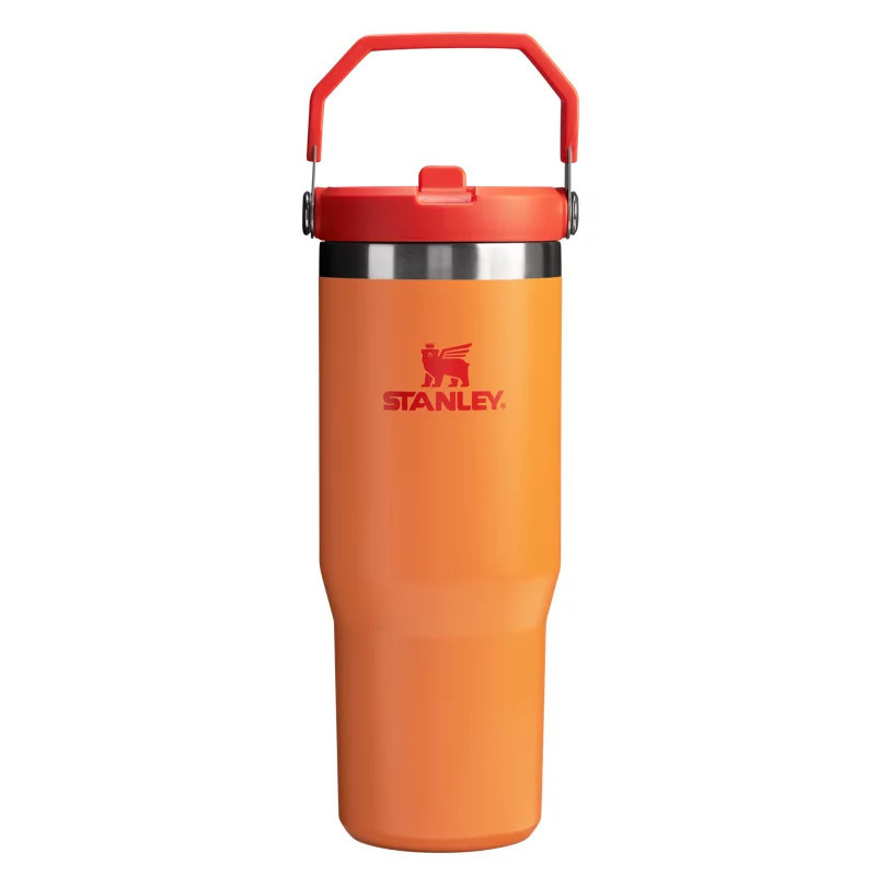 Stanley The IceFlow 30 oz Classic Flip Straw Tumbler | Academy Sports + Outdoors