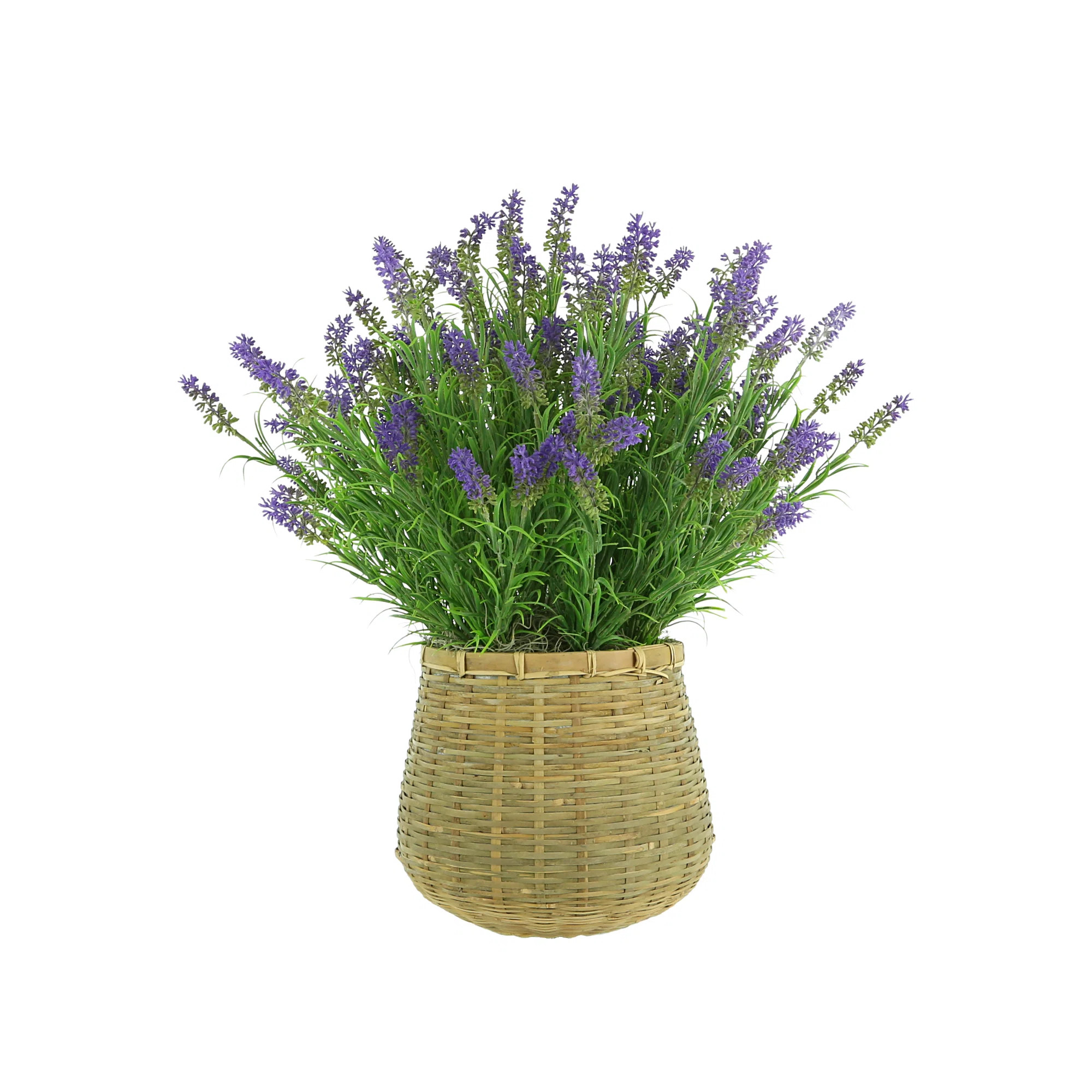 Primrue Outdoor UV Rated Lavender in Basket Planter | Wayfair | Wayfair North America