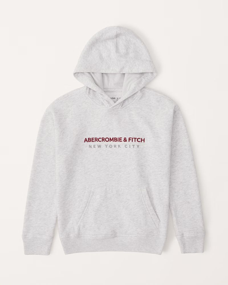 embroidered logo popover hoodie | Abercrombie & Fitch (US)