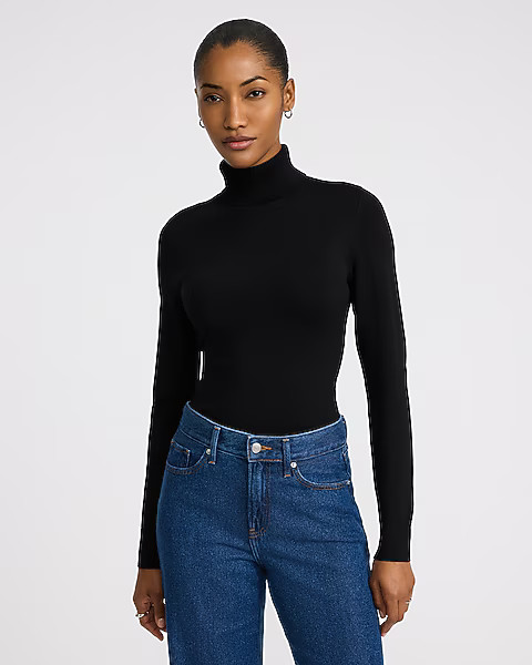 Silky Soft Fitted Turtleneck Sweater | Express