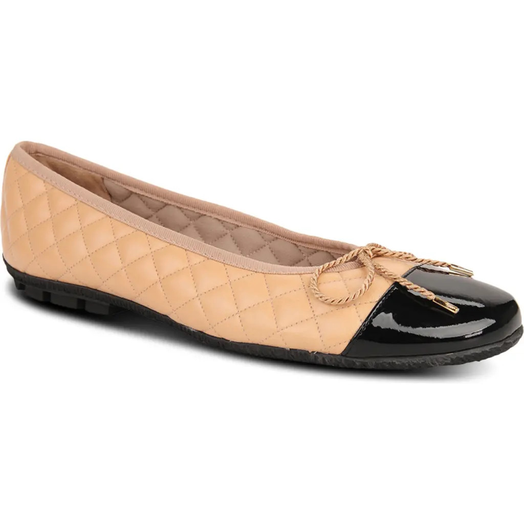 PAUL MAYER Cozy Quilted Cap Toe Ballet Flat in Black/Beige at Nordstrom, Size 10 | Nordstrom