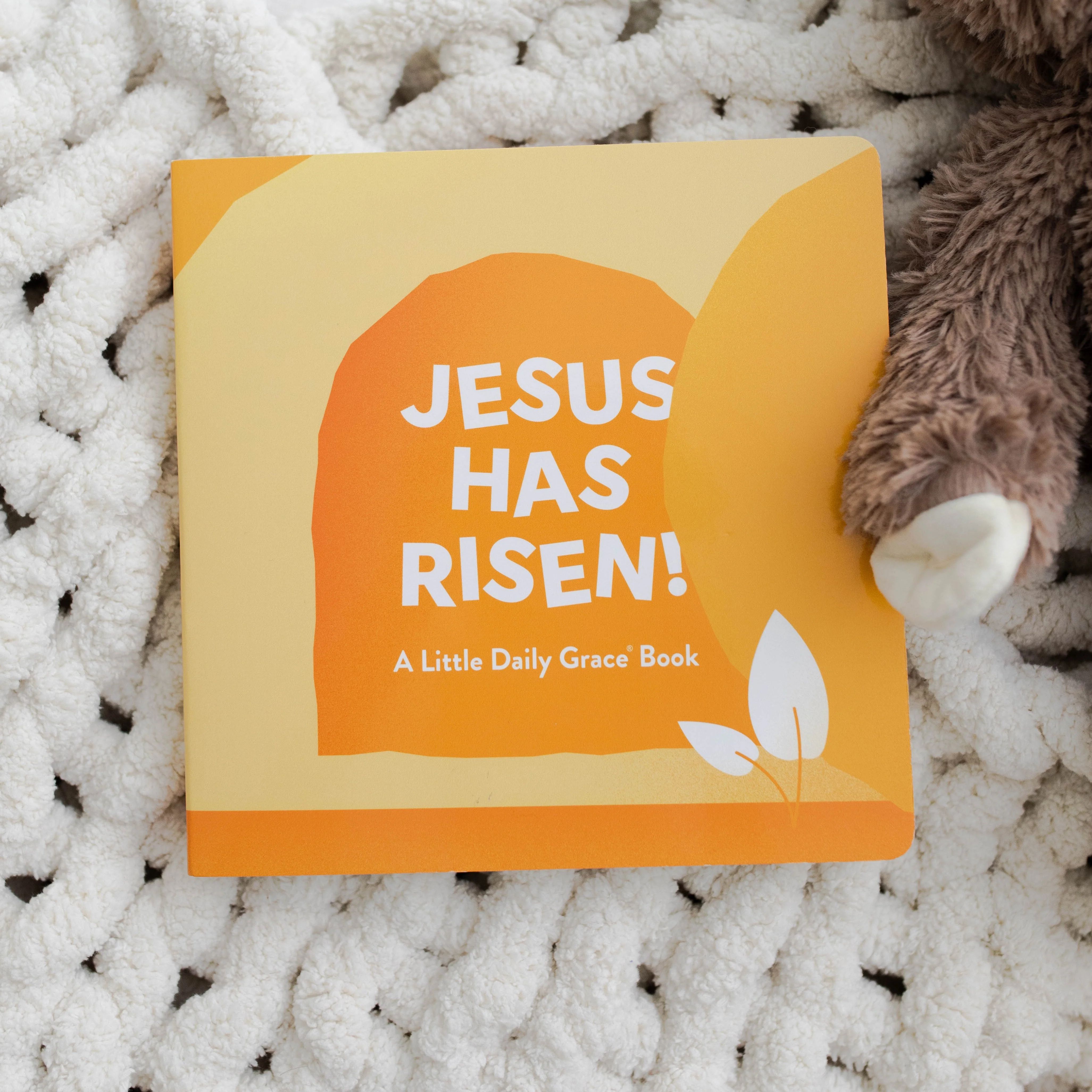 Jesus Has Risen Board Book | The Daily Grace Co.