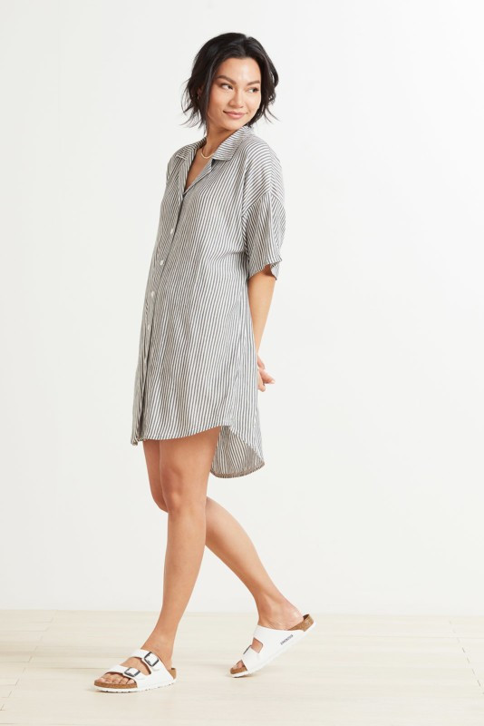 Z SUPPLY James Striped Dress | EVEREVE | Evereve