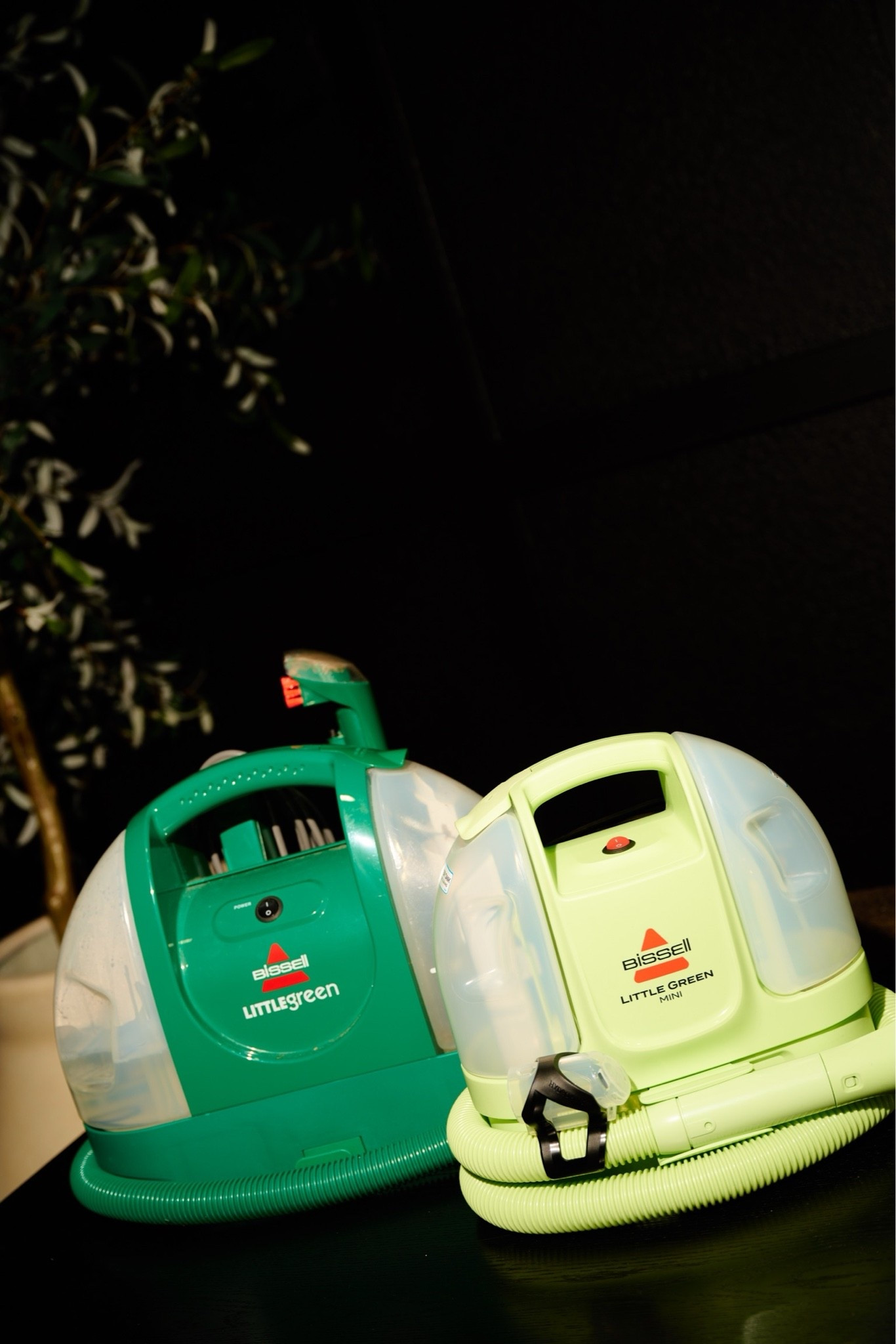 Little green machines are currently on sale! Grab yours now to give your house a constant refresh!

#LTKHome #LTKSaleAlert