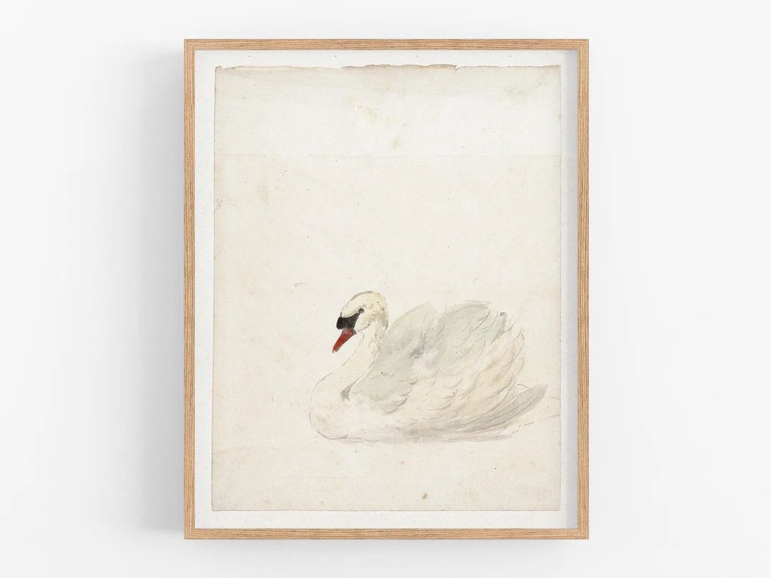 Swan Art Print / Vintage Swan Art / Wall Decor / Bird Art / Vintage Art / Swan Drawing / Nursery ... | Etsy (US)