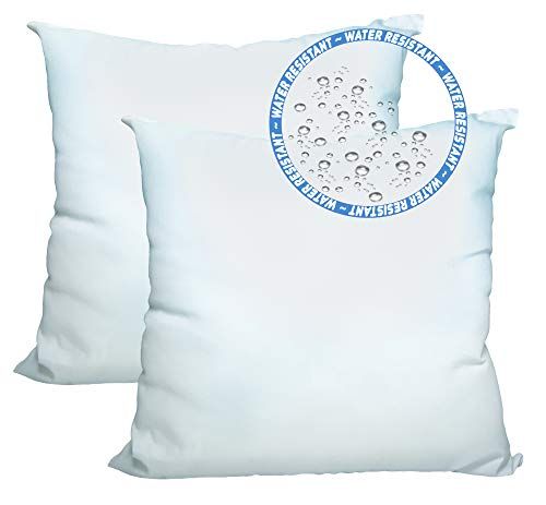 Foamily Set of 2-20 x 20 Premium Outdoor Water Resistant Hypoallergenic Stuffer Pillow Throw Inserts | Amazon (US)