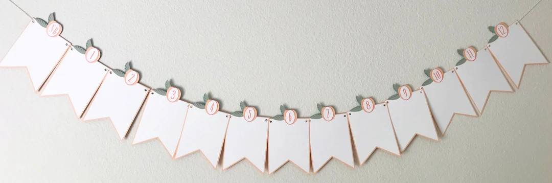 12 Month Sweet Peach Photo Banner - Sweet as a Peach, Little Peach, Georgia Peach, First Birthday... | Etsy (US)