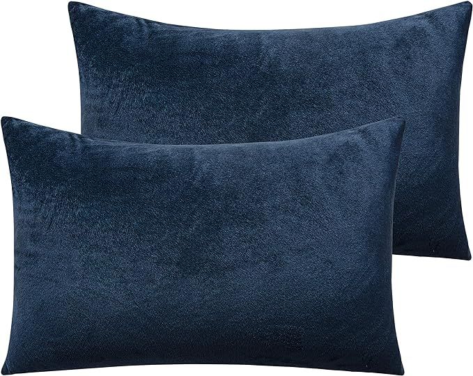 NTBAY Zippered Velvet Queen Pillowcases, 2 Pack Super Soft and Cozy Luxury Solid Color Pillow Cas... | Amazon (US)