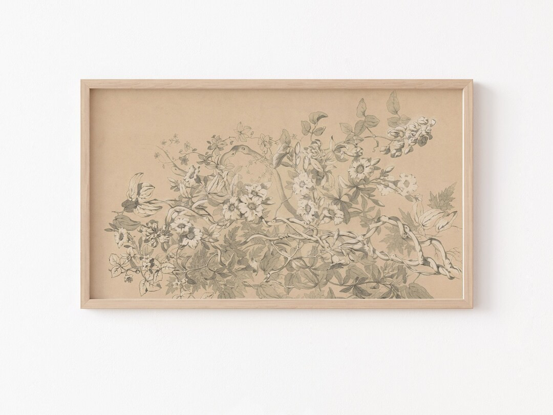 Frame TV Art Frame TV Art Vintage Flower Drawing Botanical - Etsy | Etsy (US)