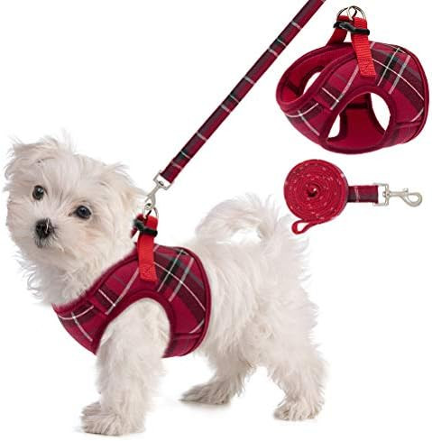 Soft Mesh Small Dog Harness with Leash - Basic Plaid Padded Chest Vest for Kitties, Puppy, Small Pet | Amazon (US)