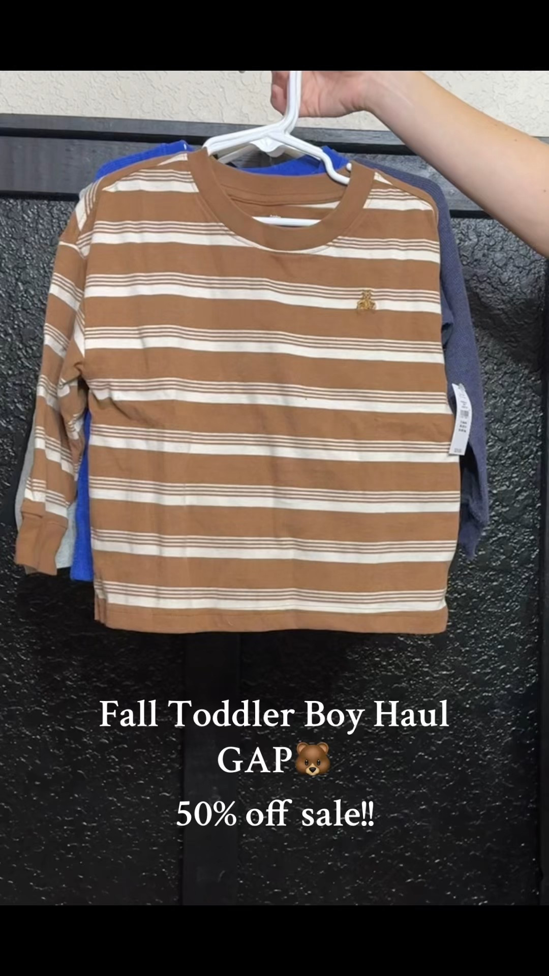 Fall Toddler Boy Gap Haul

#LTKCyberWeek #LTKSaleAlert #LTKdayinmylife
