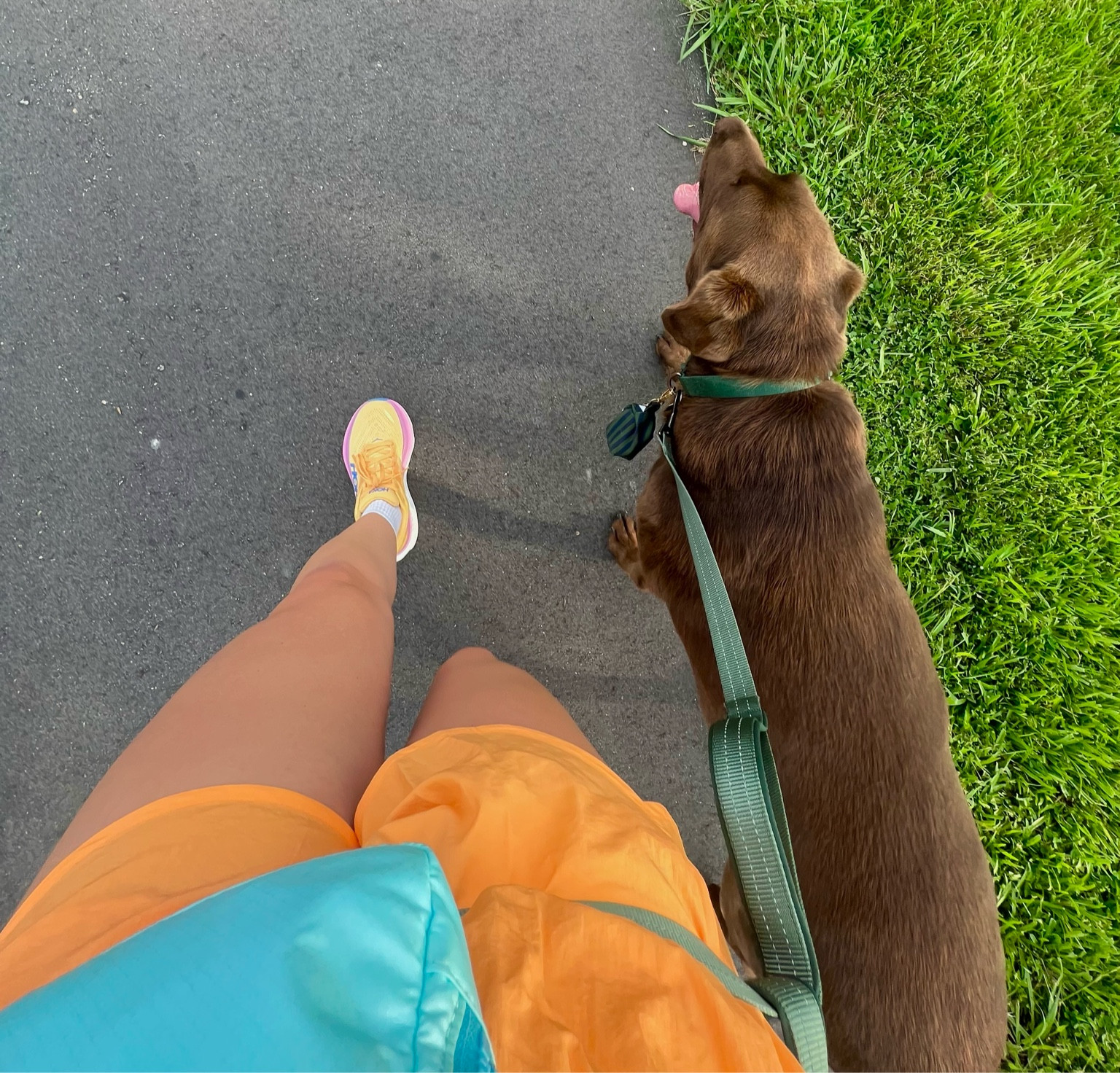 A good HGW fit always makes me happy 🍊🏃🏼‍♀️

#LTKfitness
