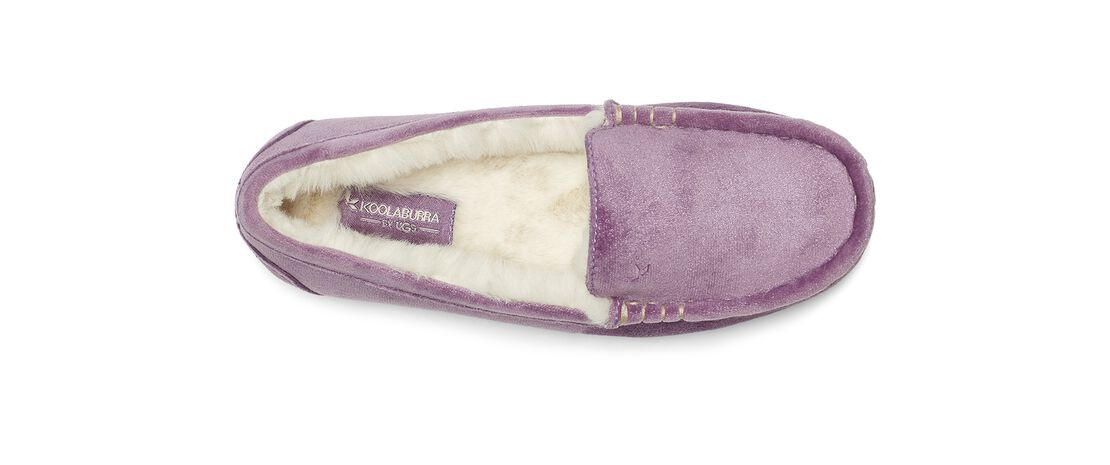 Riley Shimmer | Koolaburra