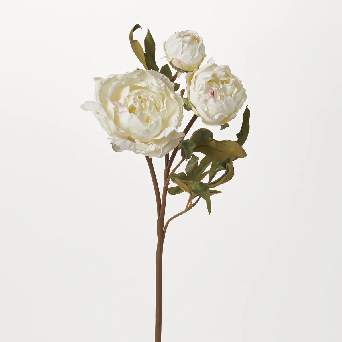 Real Touch Blooming White Peony Stem Dried Look Faux Floral Spray - 25" | Darby Creek Trading