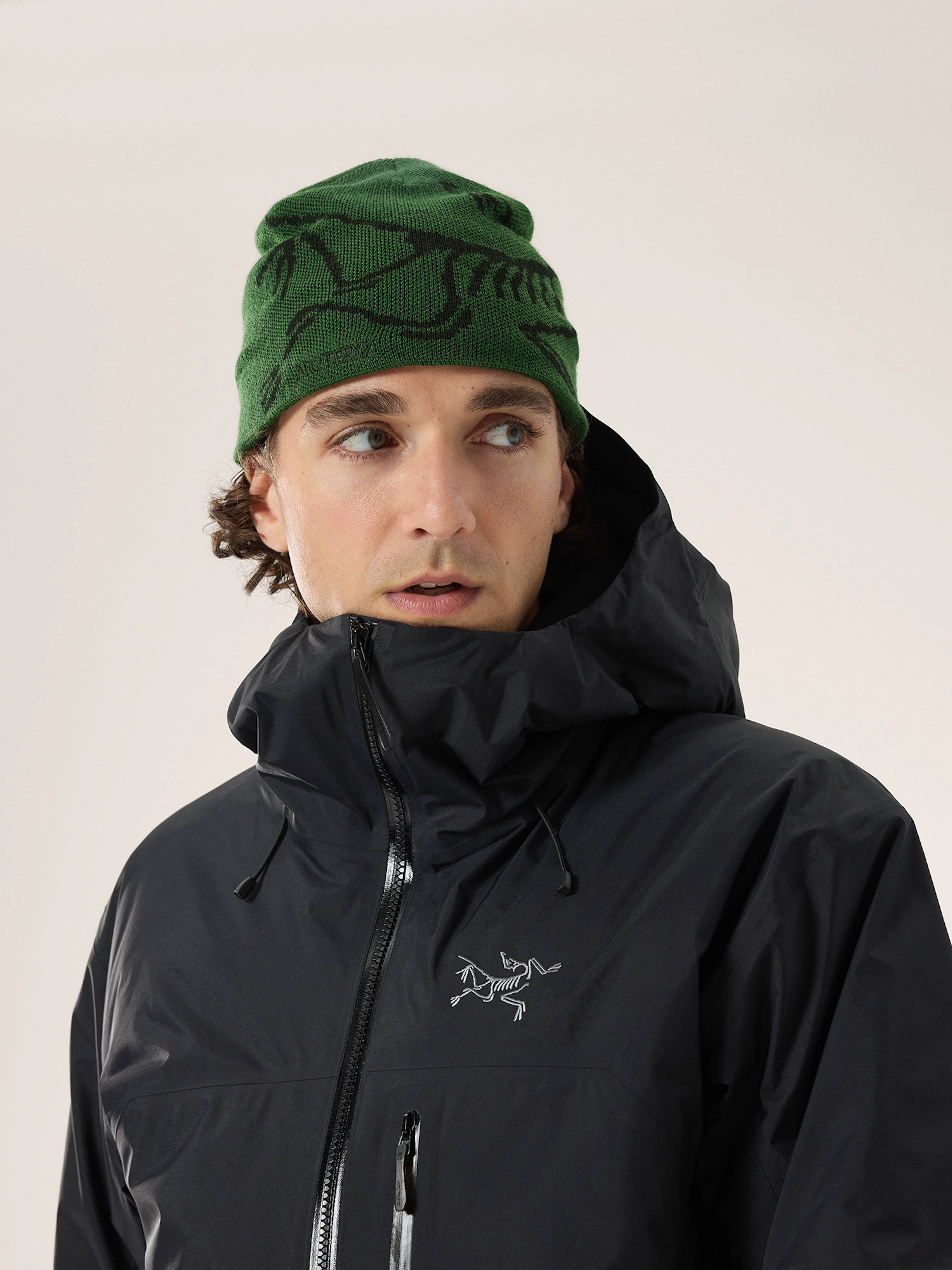 Bird Head Toque | Arc'teryx