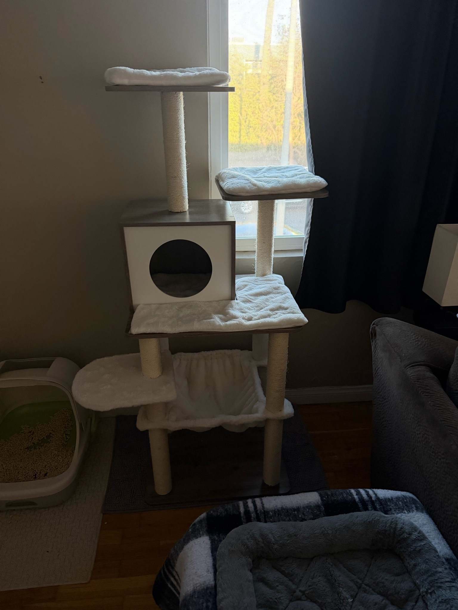 New cat tree that I’m obsessed with! @Chewy

#LTKSaleAlert #LTKHome