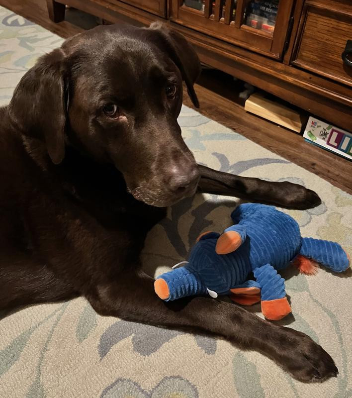 Frisco Elephant Corduroy Plush Squeaky Dog Toy, Large/X-Large | Chewy.com