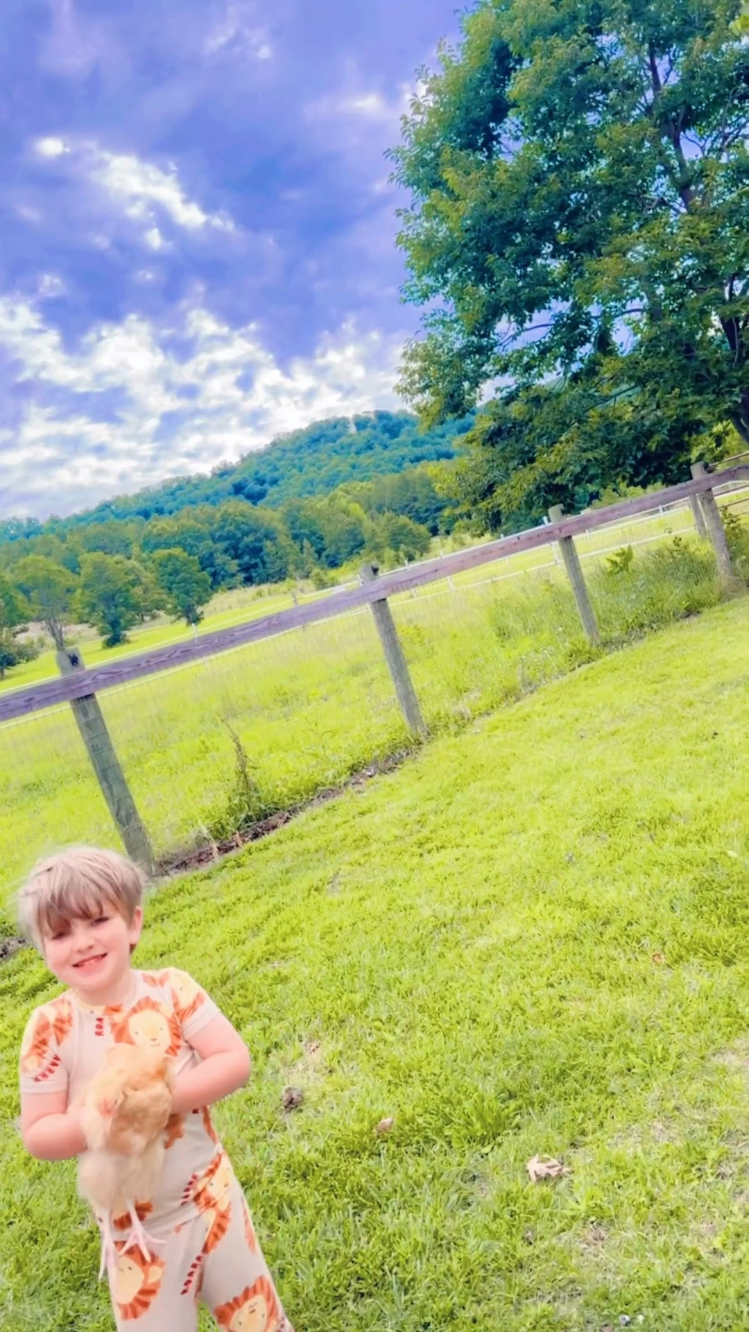 Sweet summer country mornings >>>