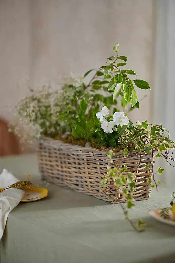 Rattan Trough Basket Planter | Terrain
