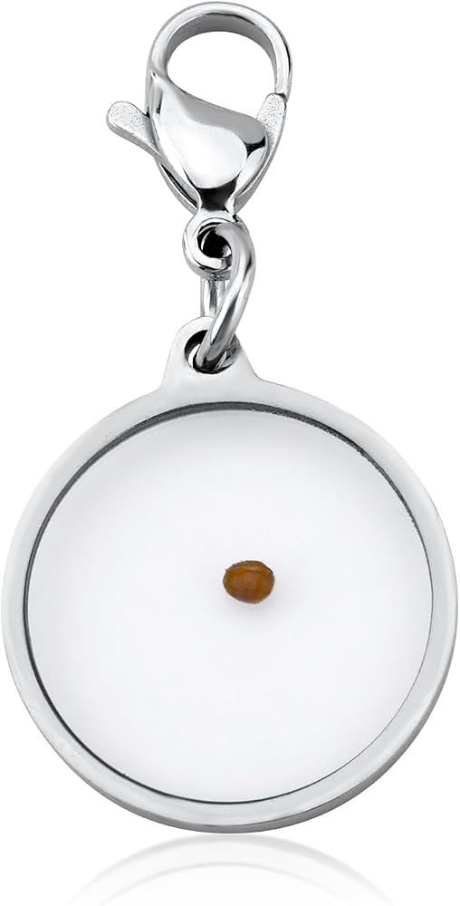 Mikovivi Mustard Seed Charm Zipper Pull Clip, Stainless Steel Faith Mustard Seed Pendant Zipper C... | Amazon (US)