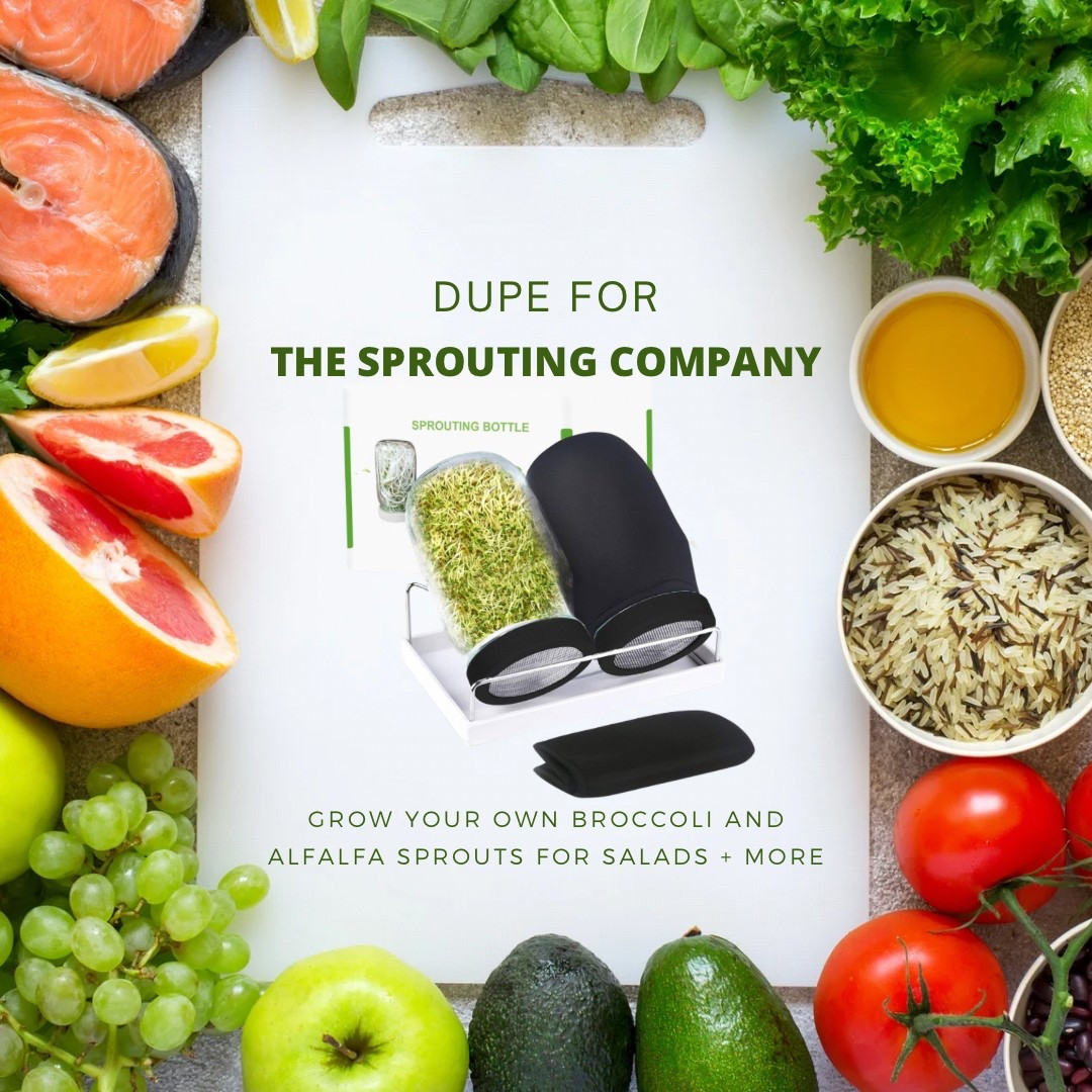 Dupe for The Sprouting Company seed sprouter! Make your own alfalfa, broccoli, and bean sprouts for summer salads and cooking. 

healthy eating / seed sprouting / grow your own / amazon finds / amazon finds for healthy eating 

#LTKHome #LTKFindsUnder50 #LTKSummerEdit
