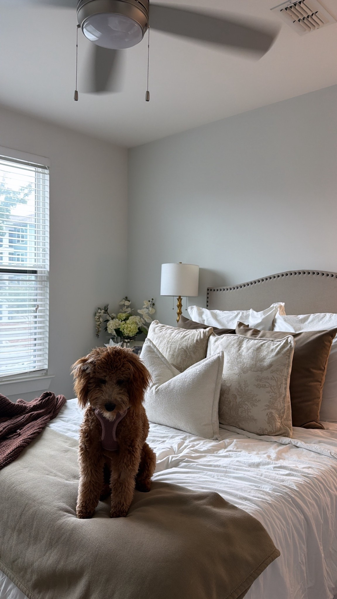 For a bed you can’t wait to make 😉🤍

#LTKStyleTip #LTKHome #LTKFindsUnder50