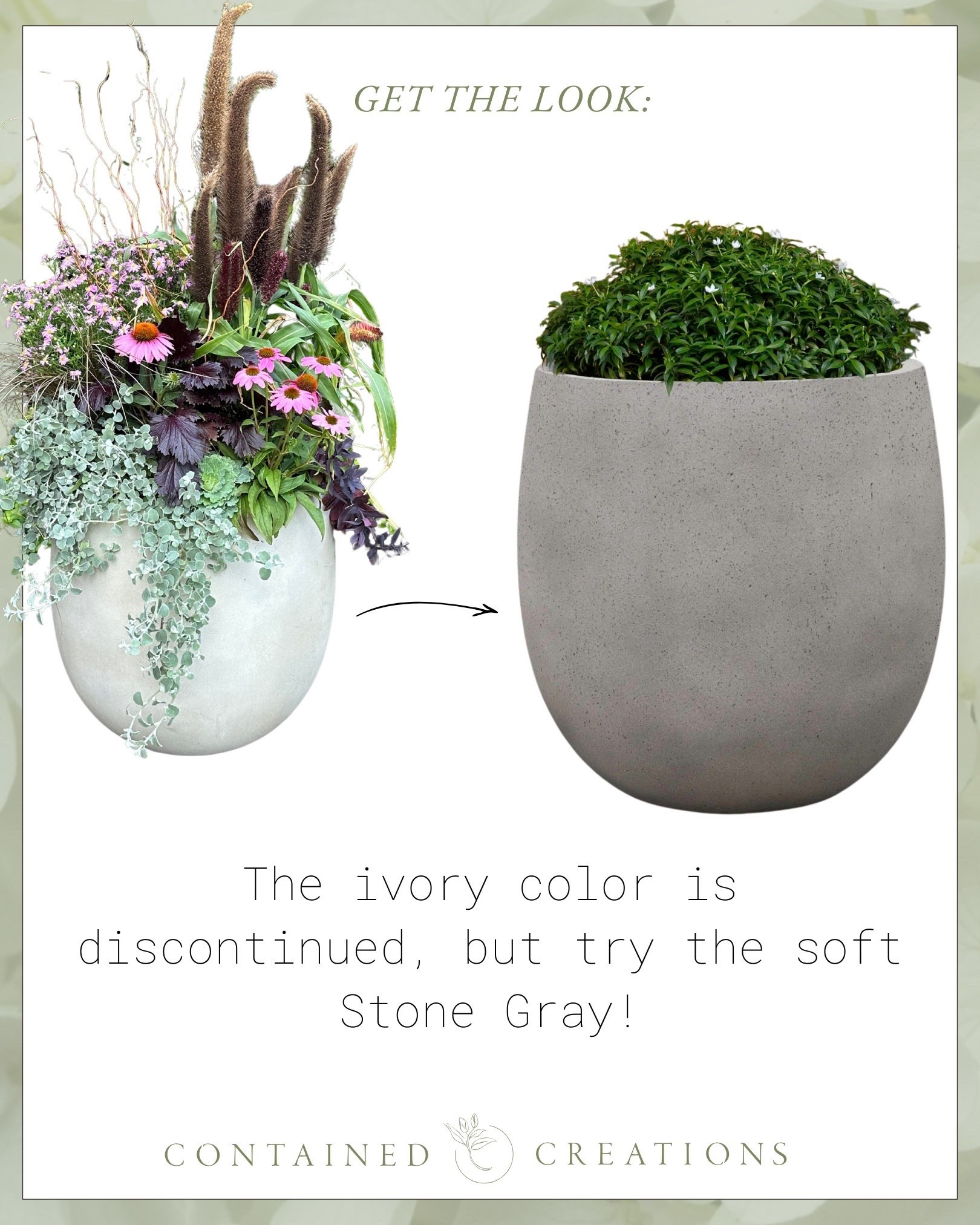 Favorite lightweight planter by Campania. Sample pot is in Ivory (discontinued), but the Stone Gray is a great alternative🩶

#LTKStyleTip #LTKSeasonal #LTKHome