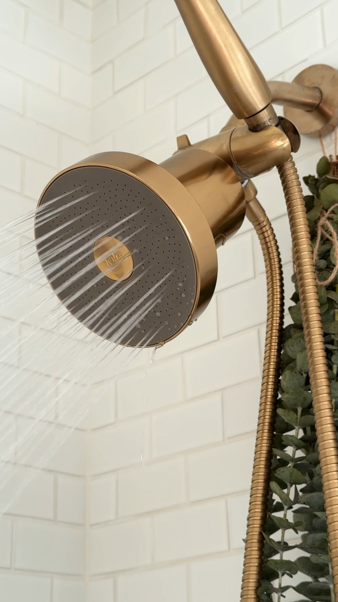 PSA: Jolie FINALLY made a gold version of their famous filtered showerhead! 🫧 

#cleanwaterclub #jolie #jolieshowerhead #joliefilteredshowerhead #bathroom #bathroomfinds #amazonbathroom #amazonbathroomfinds #showerlamp #bathroomdecor #bathroominspo #bathroominspiration 

#LTKVideo #LTKbeauty #LTKhome