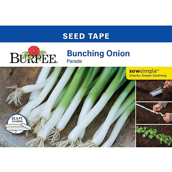 Burpee  Seed Tape Onion Bunching Parade | Tractor Supply