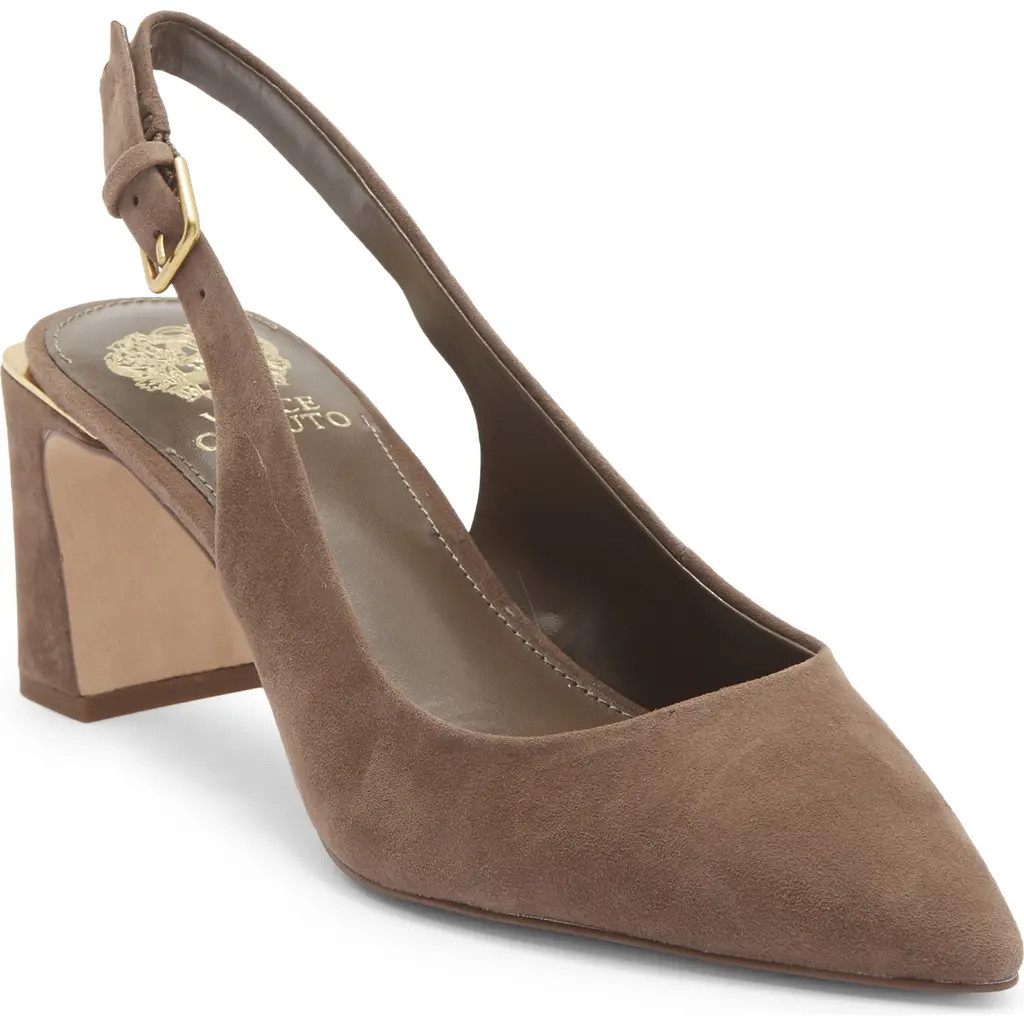 Vince Camuto Hamden Pointed Toe Slingback Pump in Toasted Taupe at Nordstrom, Size 5 | Nordstrom