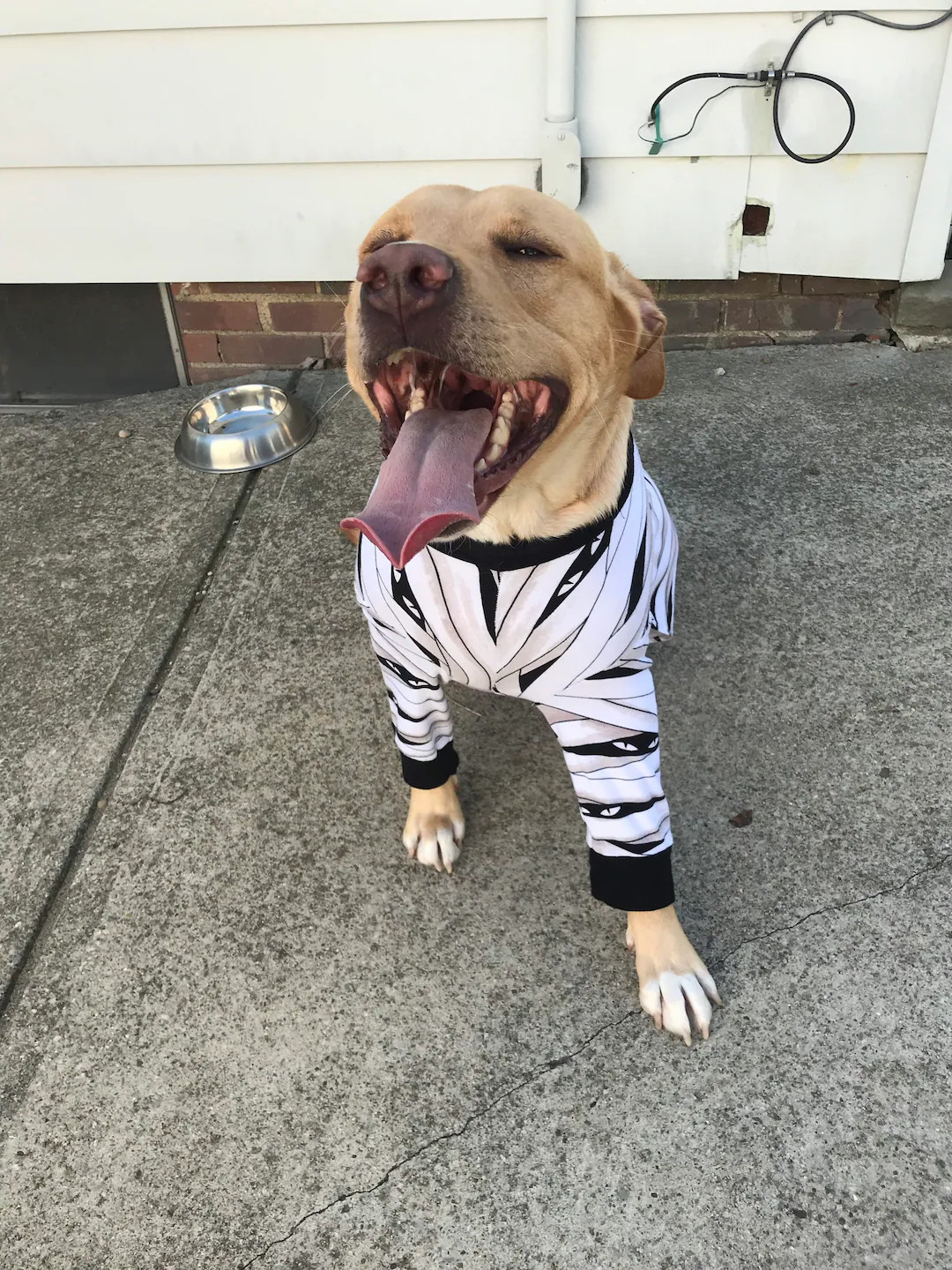 Glow in the dark Mummy PJs | Etsy (US)