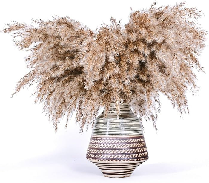 30-Pcs 17-Inch Tall Fluffy Pampas Grass Short S Size Brown Pompas Decor Boho Room Flowers Decorat... | Amazon (US)