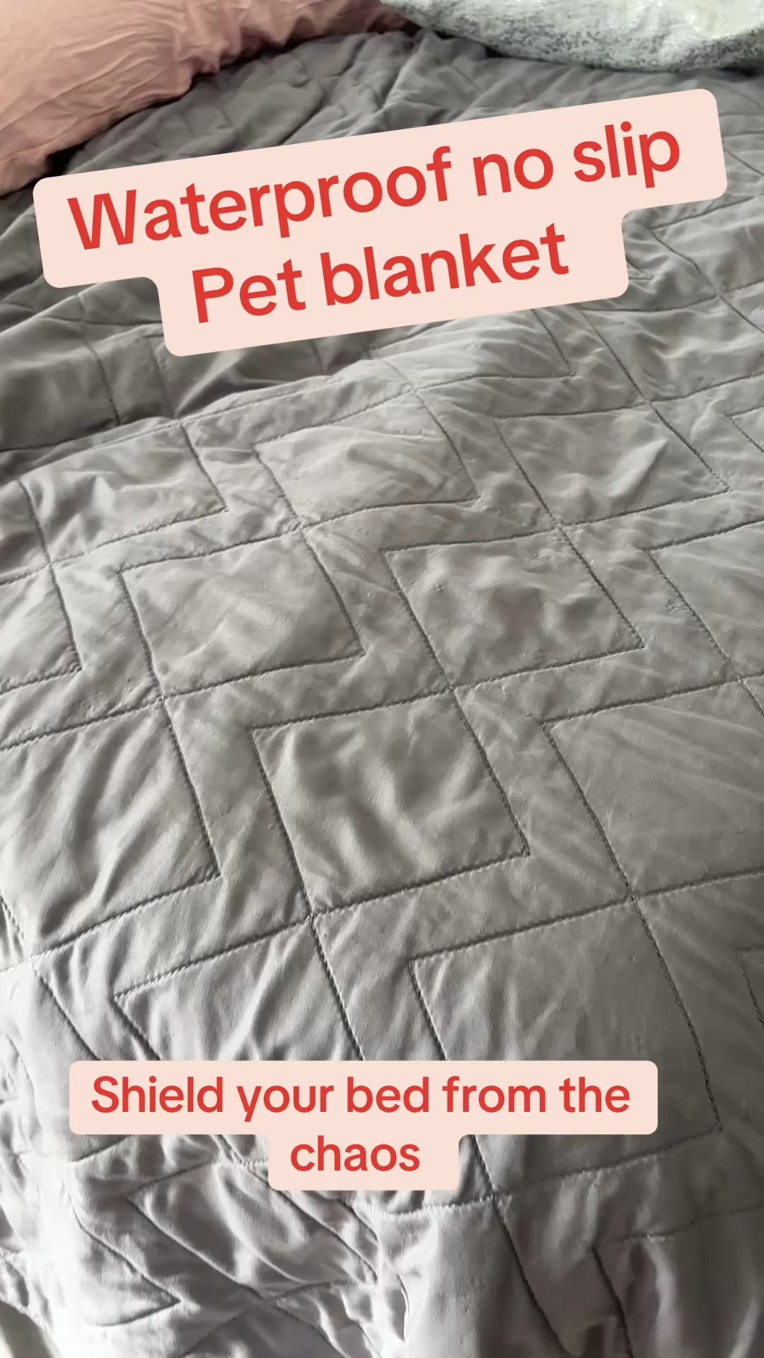 If you are a pet owner this is a must have! #pets #dogmom

#LTKPets #LTKHome