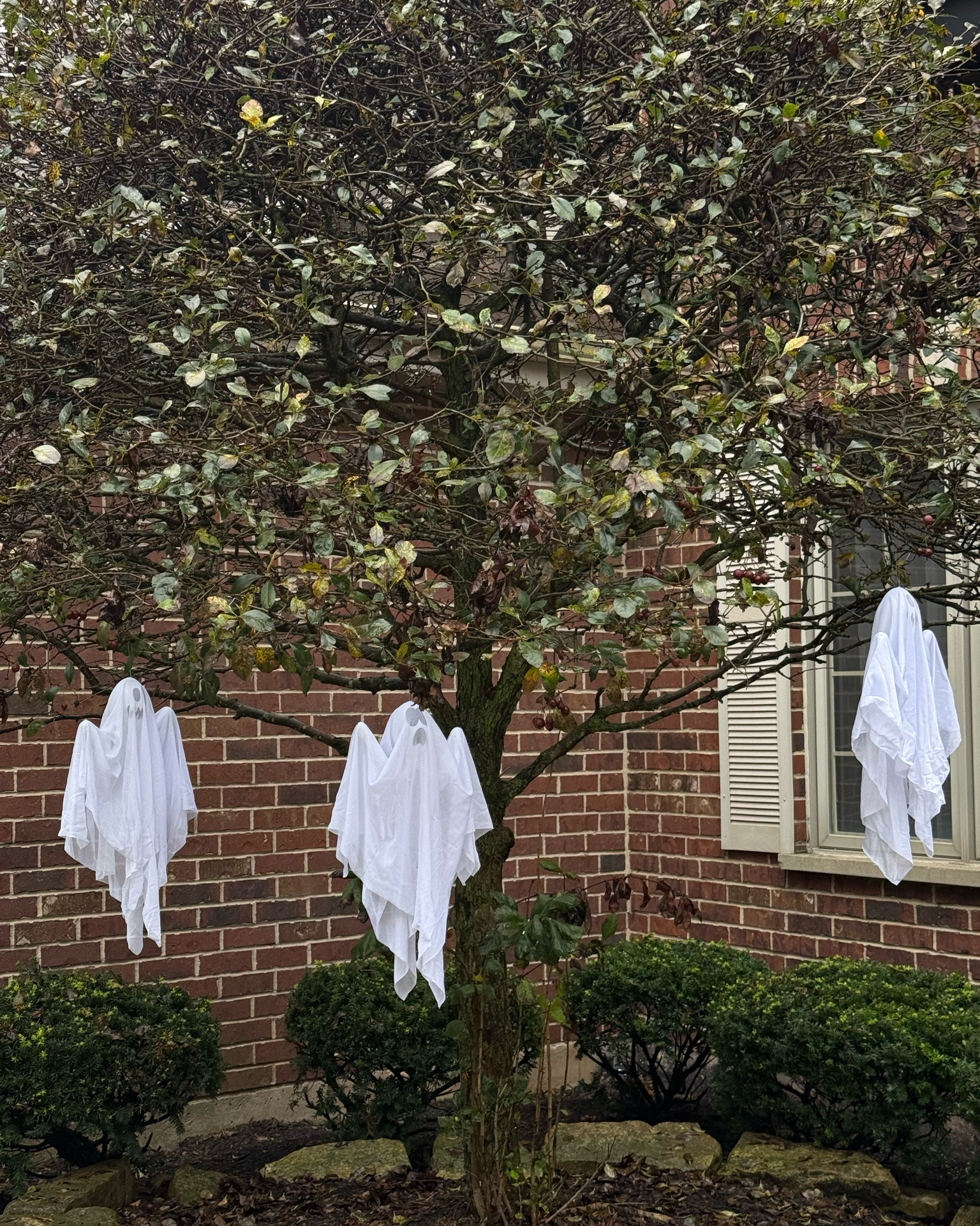 Hanging ghost

#LTKHome #LTKSeasonal