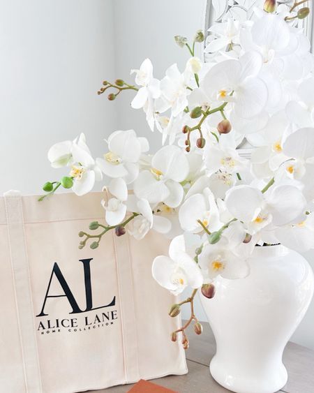 Alice Lane Home very best sale is one! 25% off some of my favorite decor finds! 🤍✨ 

#LTKhome