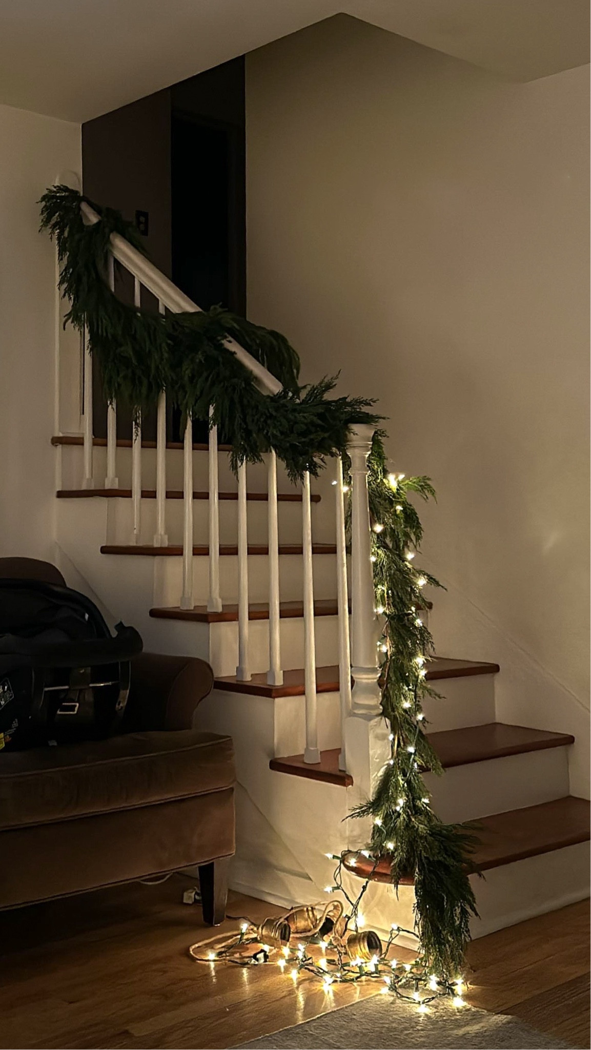 Garland in my home! 🌲