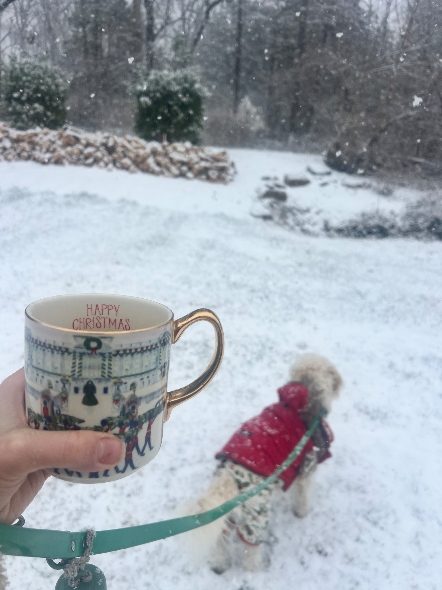 It’s the season 🎄❤️

#LTKHome #LTKU #LTKHoliday