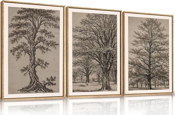 HOURIA Vintage Tree Sketch Framed Canvas Wall Art Set,Natural Dark Botanical Wall Decor,Retro Tre... | Amazon (US)